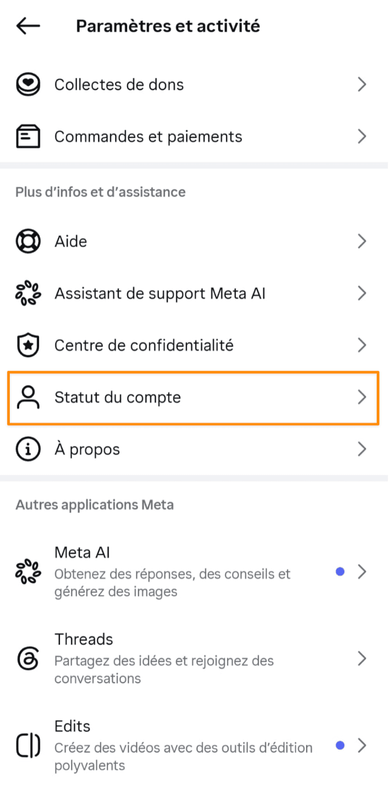 Où trouver Statut du compte dans les paramètres Instagram